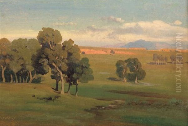Campagnalandschaft - view 1