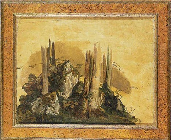 Studio Di Paesaggio Con Tronchi E Rocce - view 1