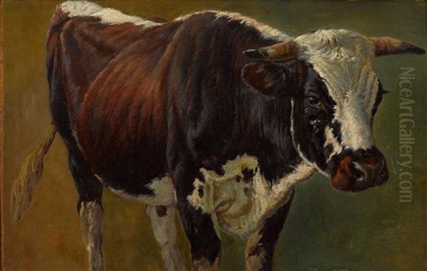 Stier - view 1