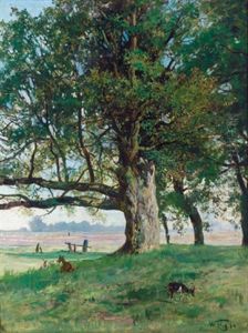 Der Schatten Spendende Baum
