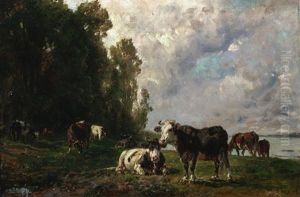 Lagernde Kuhe In Den Rheinauen Bei Mannheim