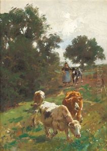 Kuhe Am Heimweg