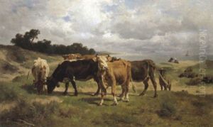 Weidende Kuhe Und Schafe Vor Kustenlandschaft