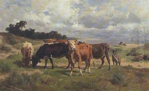 Weidende Kuhe Und Schafte Vor Kustenlandschaft
