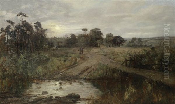 A Rural Landscape - view 1