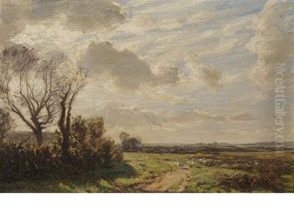 On The Common - view 1