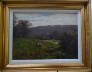 Sheep Grazing In A Sunlit Landscape, North Yorkshire Moors