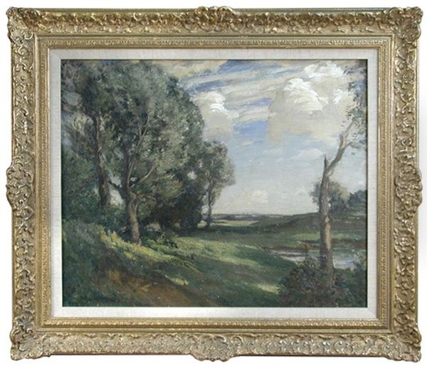 Stoke By Nayland, Suffolk - view 1