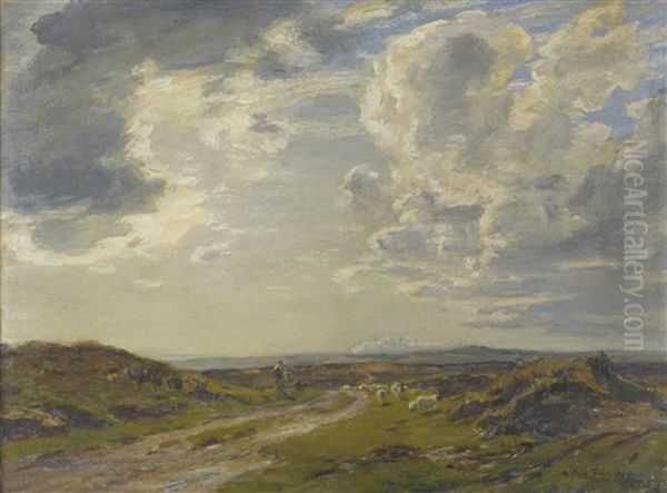 Morning - Middlebere Heath, Dorset - view 1