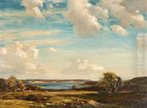 Evening Sunshine, Isle Of Purbeck