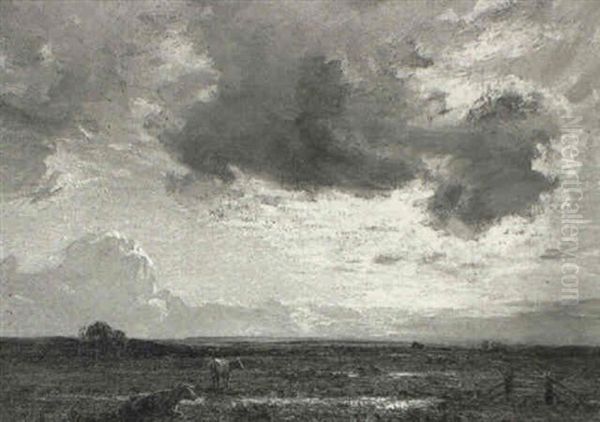 Cattle In An Extensive Landscape At Sunset - view 1
