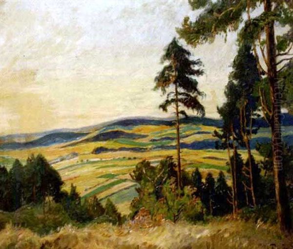 Waldlichtung Mit Blick Auf Hugelige Landschaft - view 1