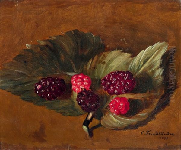 Waldbeeren - view 1
