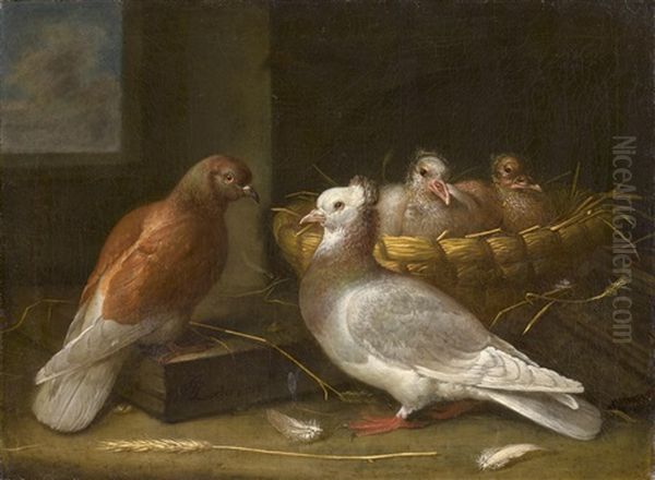 Ein Taubenpaar Mit Zwei Kuken In Ihrem Nest In Einem Weidenkorb - view 1