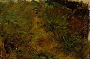 Study Of Grasses And Ferns