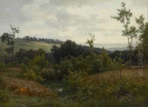 Landschaft Bei Heidelberg