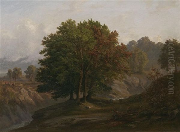 Landschaft - view 1