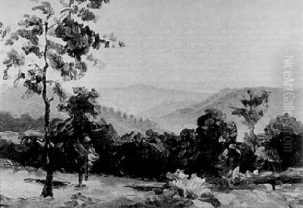 Hugellandschaft - view 1