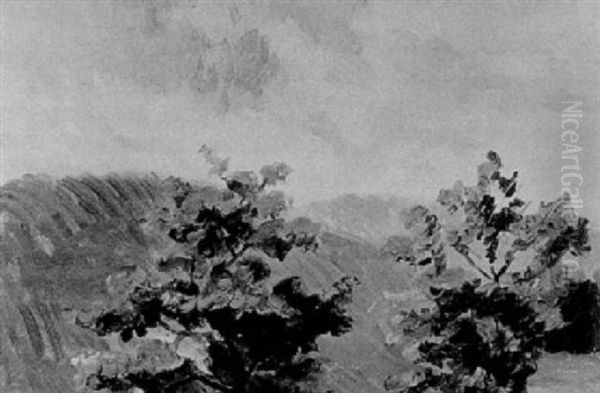 Baumstudie - view 1