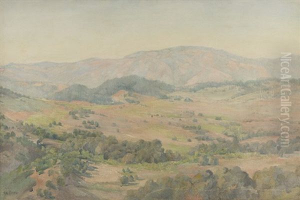 Land Of The Oaks - view 1