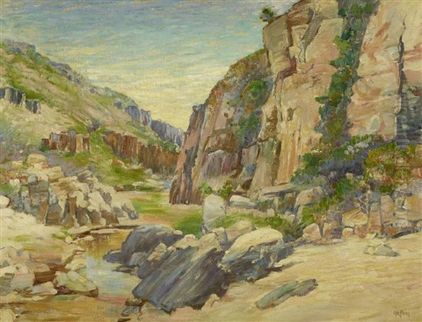 In The San Diego River Gorge - view 1