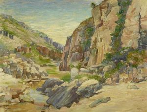 In The San Diego River Gorge