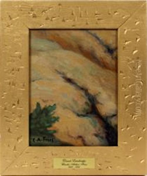 Desert Scene - view 1