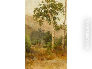 Trees, San Diego Area by Charles Arthur Fries