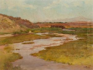 Salt Marshes, South Of San Diego
