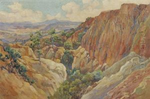 The Painted Gorge At Torrey Pines (no. 853) by Charles Arthur Fries