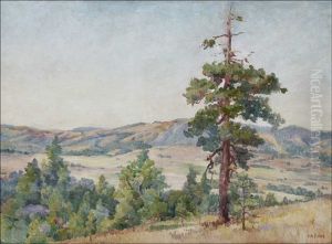 Vulcan Ranch From Pine Hills by Charles Arthur Fries