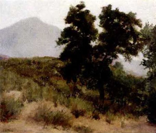 Early Morning Alpine - view 1
