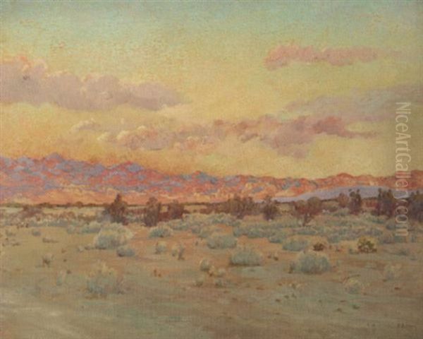 Evening Light On The Morongo Mts At Palm Springs - view 1