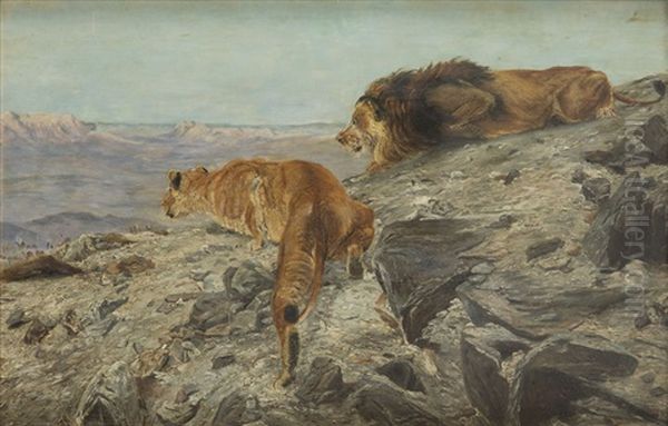 Hunting Lions - view 1