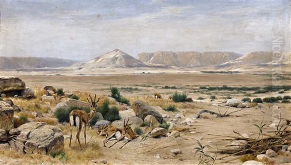 South African Landscape With Springboks - view 1