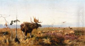 Bull Moose by Richard Bernhardt Louis Friese