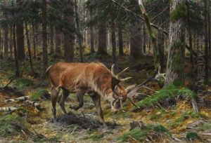 Deer In A Forest Glade by Richard Bernhardt Louis Friese