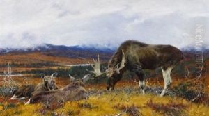 Auf Dem Fjeld. Elche Im Norwegischen Hochland by Richard Bernhardt Louis Friese