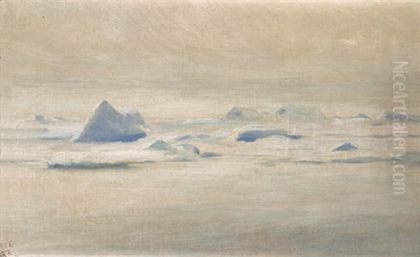 Eislandschaft Auf Gronland - view 1