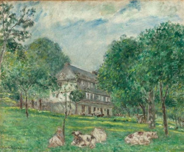 Cows At Noon - view 1