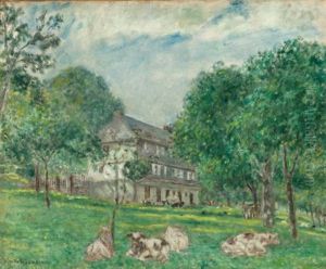 Cows At Noon