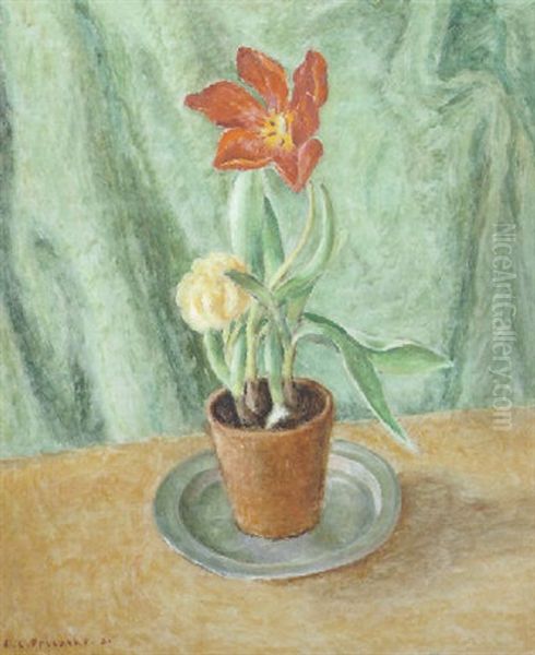 Tulips - view 1