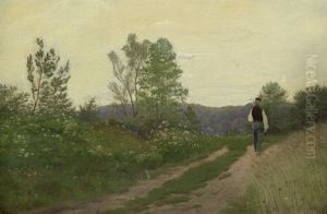 Sommerlandschaft Mit Spazierganger Bei Kjaerstrup Auf Der Danischen Insel Lolland