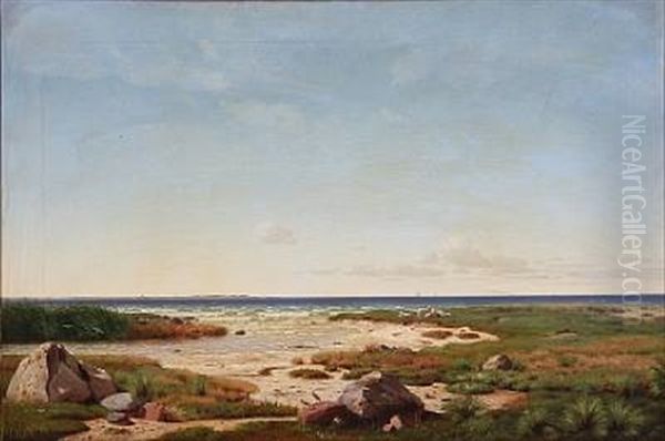 Coastal Scene From Denmark With Grazing Sheeps - view 1