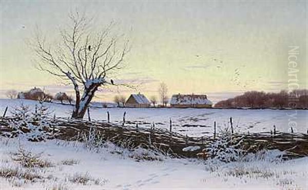 Vinterbillede. Fra Udkanten Af En Skov Ved Solnedgang - view 1