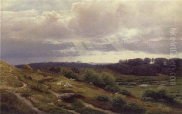 Paarupegnen - view 1