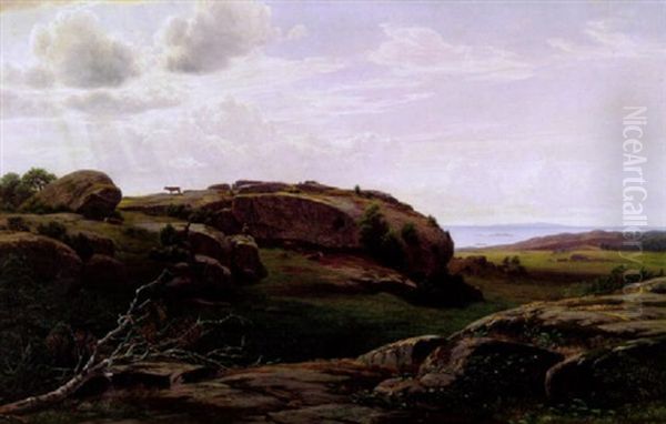 Paimentytto Vuorilla - view 1