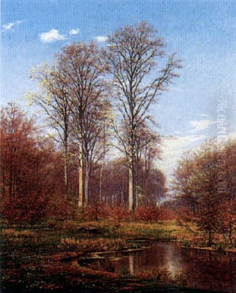 Wooded Landscape - view 1