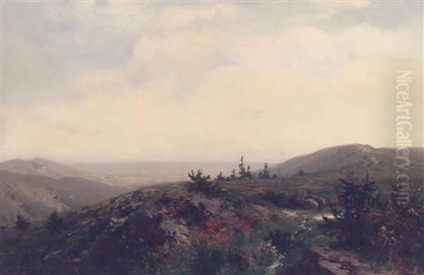 Harzlandschaft - view 1