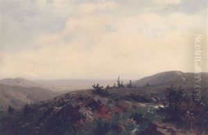 Harzlandschaft